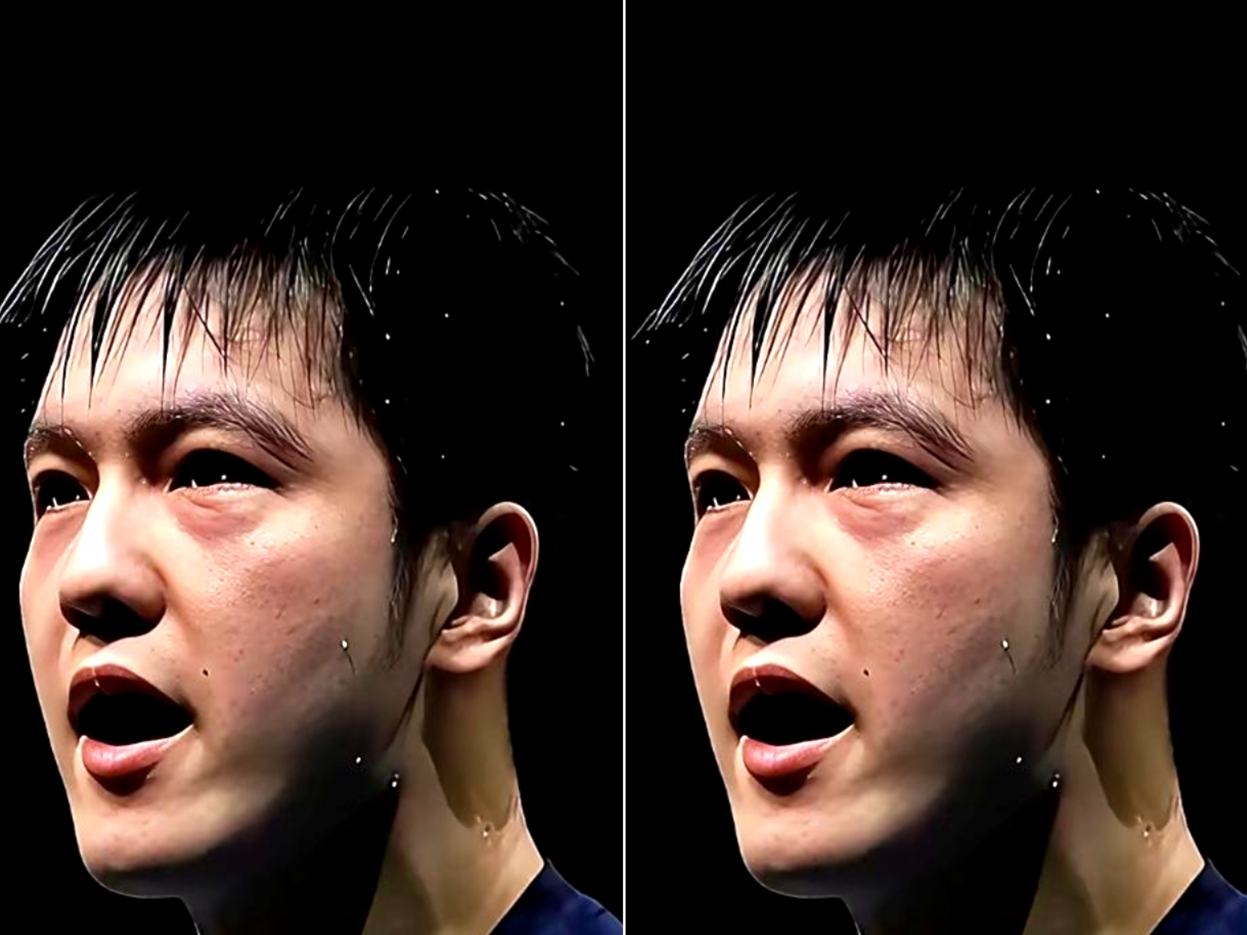 葡萄牙队逆转德国队，樊振东带队取胜