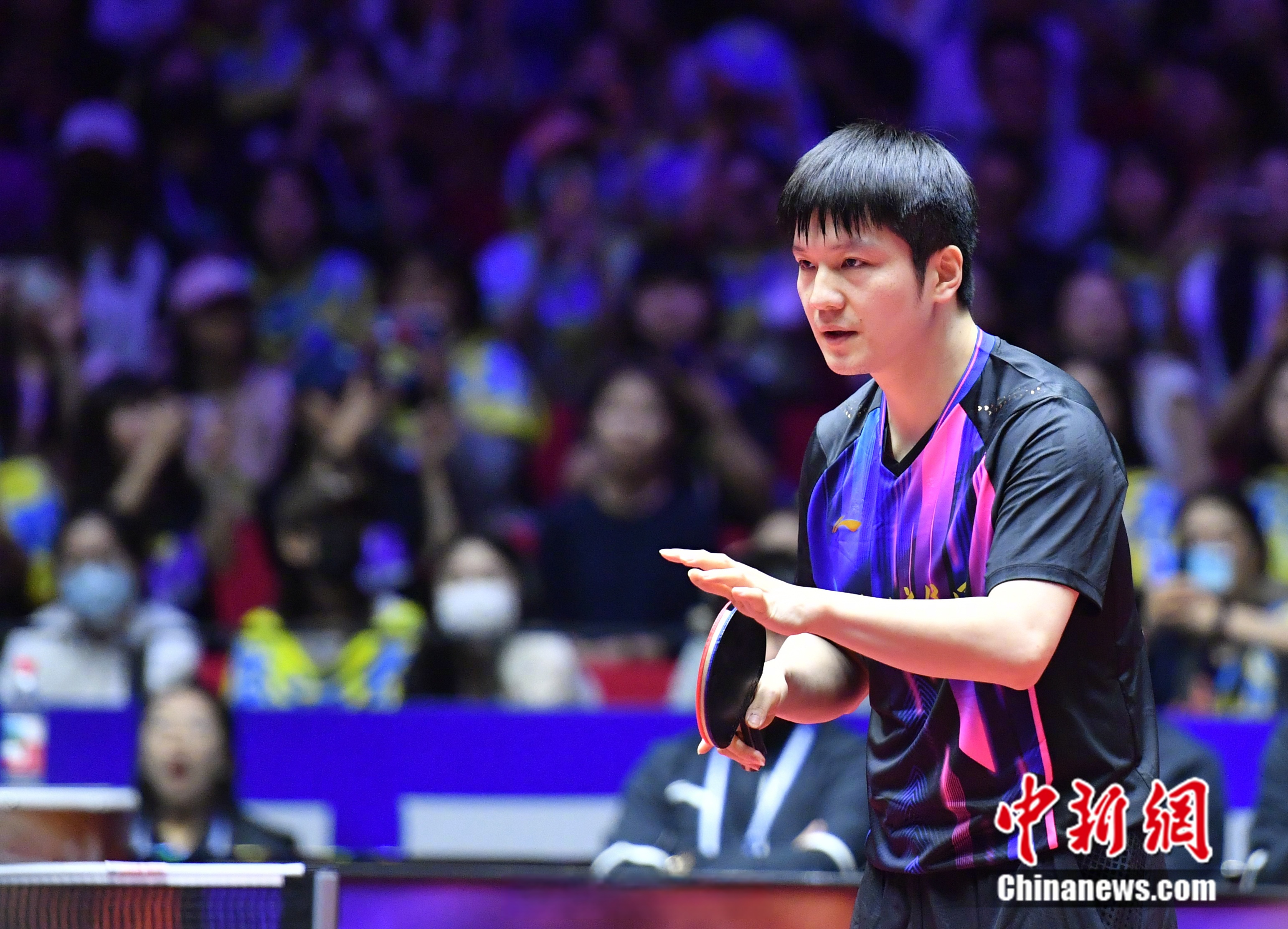 英国乒乓球队力克瑞典乒乓球队,樊振东爆发神勇 英国乒乓球队力克瑞典乒乓球队,樊振东爆发神勇