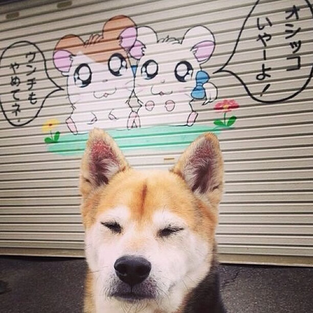 从瑞士单节拉开阿尔及利亚，到布鲁诺英超争冠接管比赛，关键时刻的唯一性艺术