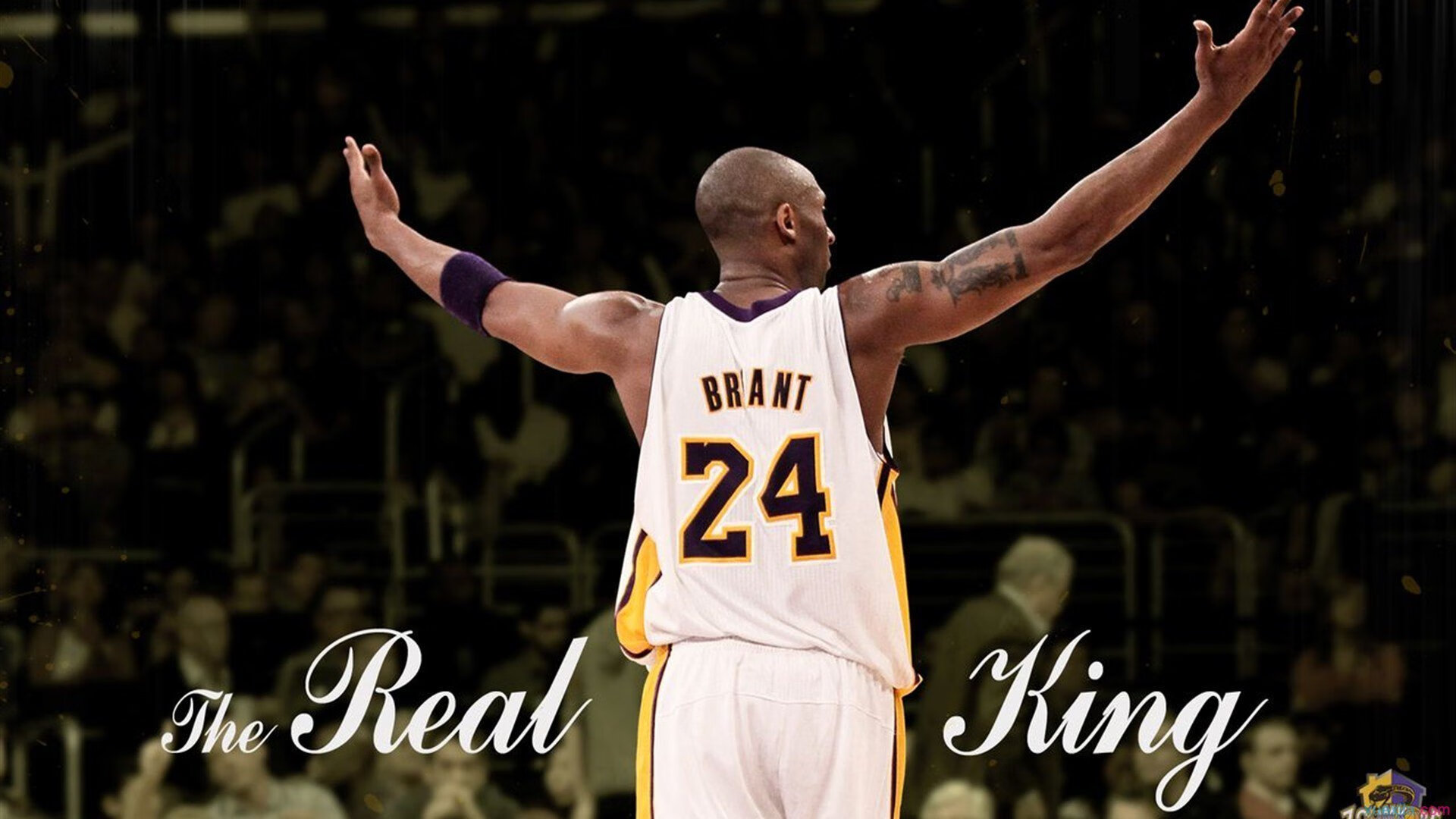 德甲争冠战之夜，武切维奇如何以节奏大师之姿引领全队