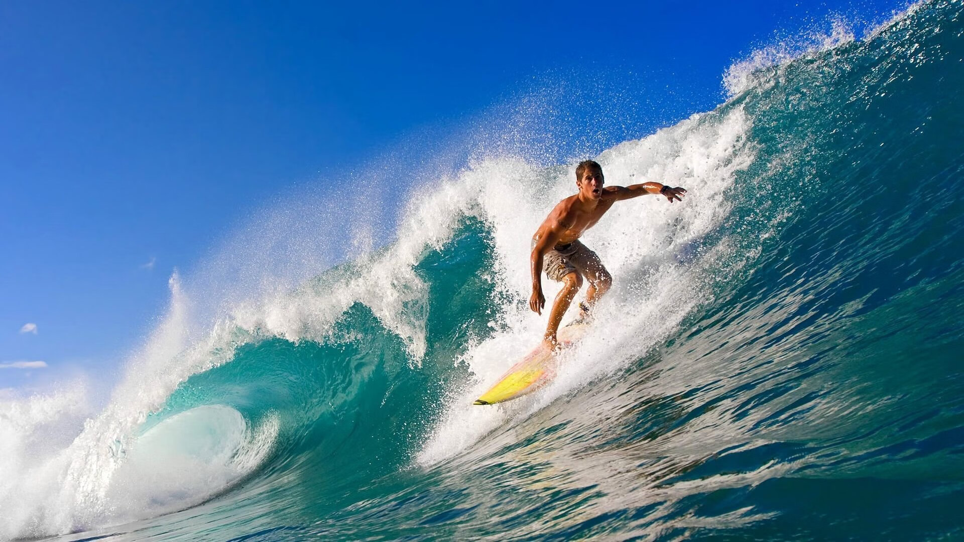德甲争冠战之夜，武切维奇如何以节奏大师之姿引领全队